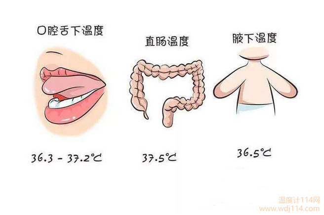 紅外線溫度計測哪較準？