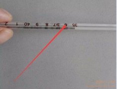 溫度計(jì)怎么用？水銀體溫計(jì)使用方法步驟
